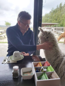 eten bij alpaca eten bij alpaca