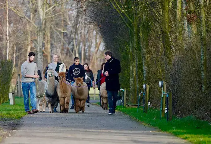 Uitje met dieren Uitje met dieren