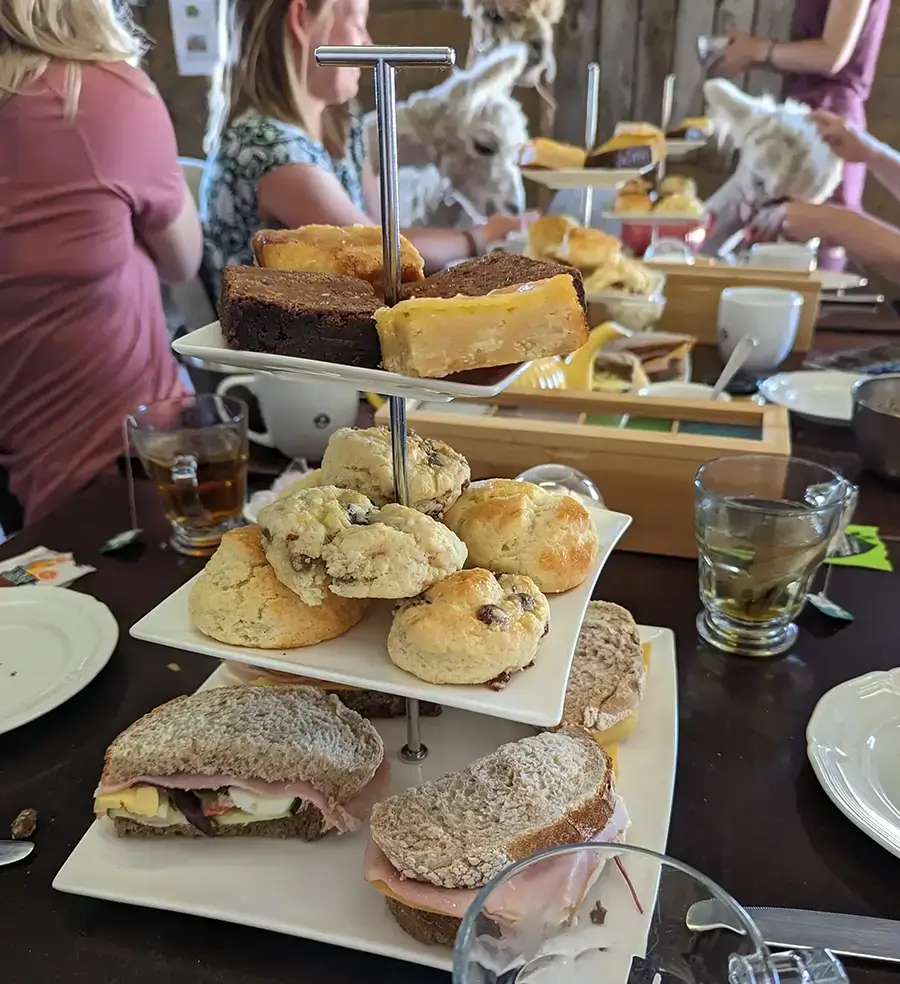 High Tea Hoogeveen High Tea Hoogeveen