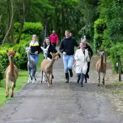 Actieve uitjes Drenthe Actieve uitjes Drenthe