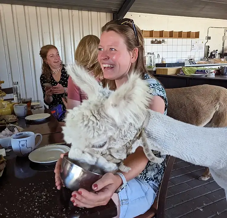 High tea grappig High tea grappig