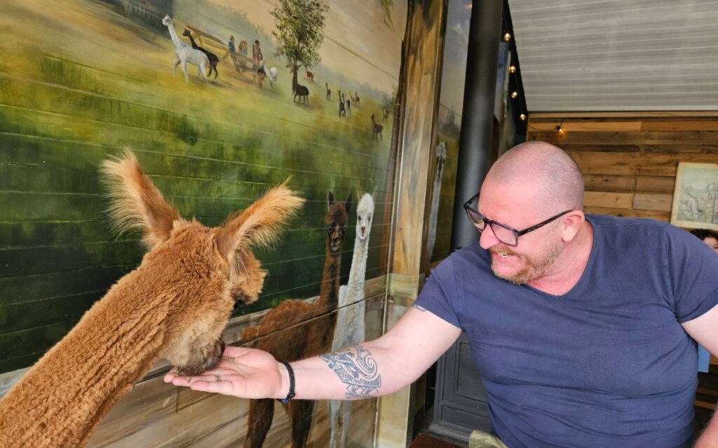 Dagje uit Drenthe volwassenen