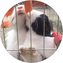 Lisanne Bonefaas profielfoto