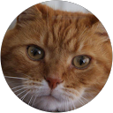 José van Dalen profielfoto