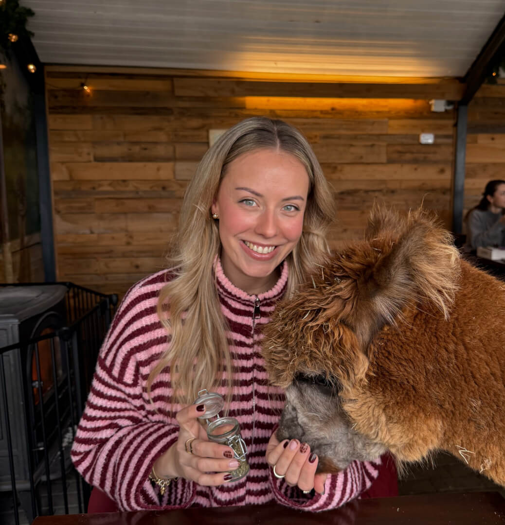 Lexi met alpaca Amber - Vierkant Lexi met alpaca amber - voeren tijdens High Tea