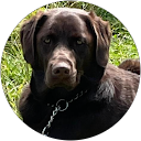 Otto Pauwels profielfoto